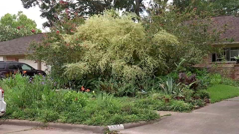 SW Houston resident fights to keep garden